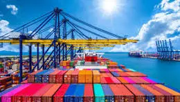 export Business